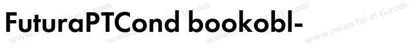 FuturaPTCond bookobl字体转换